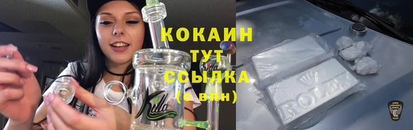 ГАЛЛЮЦИНОГЕННЫЕ ГРИБЫ Заволжск