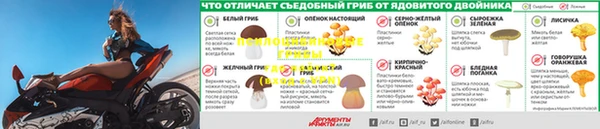 ГАЛЛЮЦИНОГЕННЫЕ ГРИБЫ Заволжск