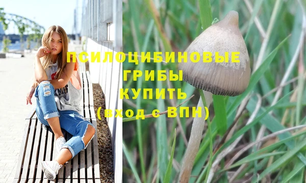 СК Заводоуковск