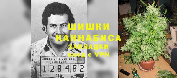 ГАЛЛЮЦИНОГЕННЫЕ ГРИБЫ Заволжск
