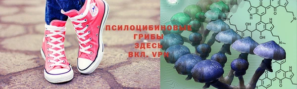 СК Заводоуковск